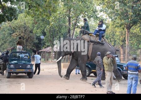 Der Eindruck der Touristen vom ersten Besuch in Indien auf der Suche nach Tigern und Kultur. Stockfoto