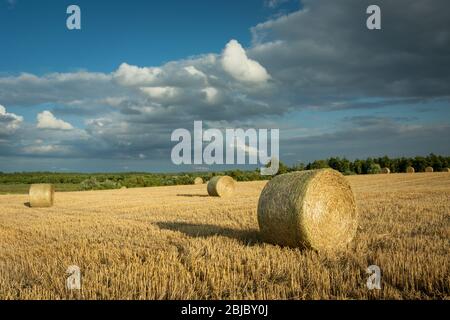 Runde Heuballen auf einem Feld und Wolken auf einem blauen Himmel Stockfoto