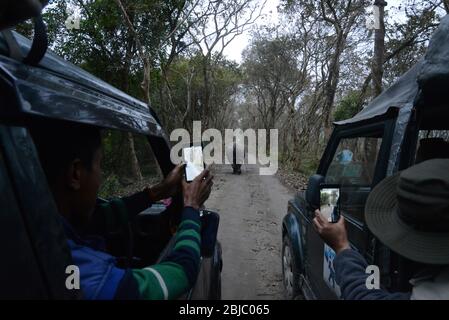 Der Eindruck der Touristen vom ersten Besuch in Indien auf der Suche nach Tigern und Kultur. Stockfoto