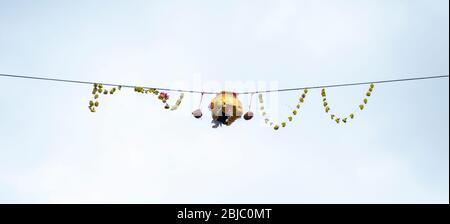 Dahi Hundie, Janmashtami Gokul Ashtami Govinda Festival, , Indien Stockfoto