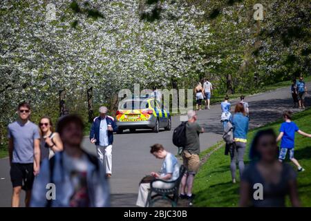 Polizei auf Patrouille im Kelvingrove Park, Glasgow, Großbritannien, während der Sperrung des Corona Virus, um soziale Distanzierung durchzusetzen. Stockfoto