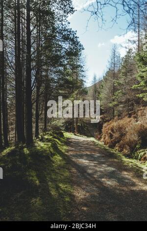 Touristenpfad in Schottland an einem sonnigen Frühlingstag Stockfoto