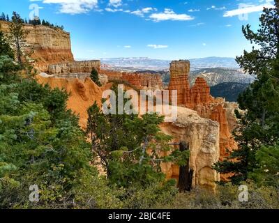 Rote Felsen im Agua Canyon, Bryce Canyon Nationalpark, Utah. Stockfoto