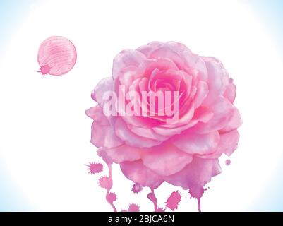 Aquarell Vektor rosa Rose. Rosa Rose Aquarell Vektor Illustration Stock Vektor