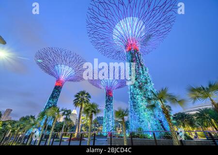 Singapur 02. Januar 2020 : Gärten an der Bucht mit den Superbäumen in der Nacht, im Hintergrund das Marina Bay Sands Hotel Stockfoto