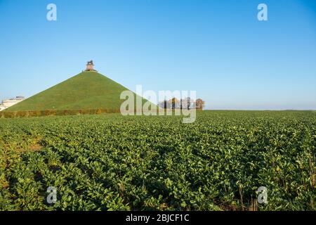 Das berühmte Löwenhügel (Butte du Lion) in Waterloo, umgeben von Ackerland. Dieses Denkmal erinnert an die Schlacht von Waterloo im Jahr 1815. Stockfoto