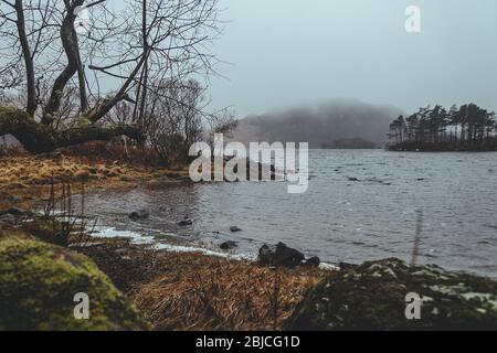 Ufer eines Sees in Schottland an einem bewölkten Regentag im Frühjahr Stockfoto