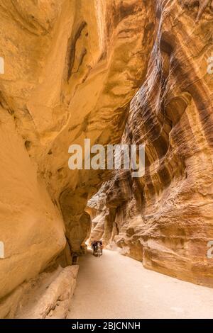 Pferdewagen im Canyon von Petra, Jordanien Stockfoto