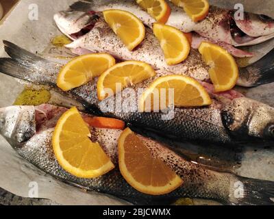 Seebarsch mit Orangenscheiben in Blechform, die zum Backen im Ofen vorbereitet sind Stockfoto