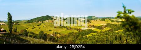 Panorama der Südsteiermark Weinbaulandschaft nahe Österreich - Slowenien Grenze. Blick auf Vineyard Fields bei Sonnenuntergang im Frühling. Stockfoto