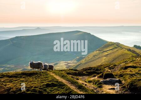 MAM Tor, Peak District National Park, Derbyshire, Großbritannien. Blick vom Rushup Edge bei Sonnenaufgang Stockfoto