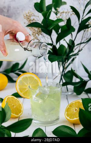 Person, die Zitronensaft in ein Glas mit Eis gießt. Erfrischendes Zitronengetränk bei einem Picknick im Freien. Gesunde, vitaminreiche Getränke. Stockfoto