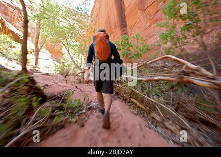 Junger Mann, der durch einen trockenen Canyon in Utah wandert Stockfoto