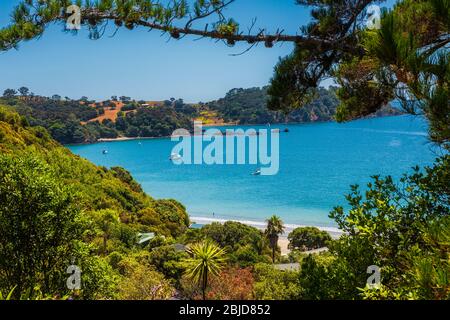 Onetangi Beach auf Waiheke Island in der Nähe von Auckland in Neuseeland Stockfoto