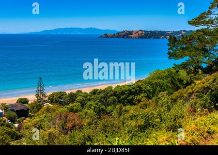 Onetangi Beach auf Waiheke Island in der Nähe von Auckland in Neuseeland Stockfoto