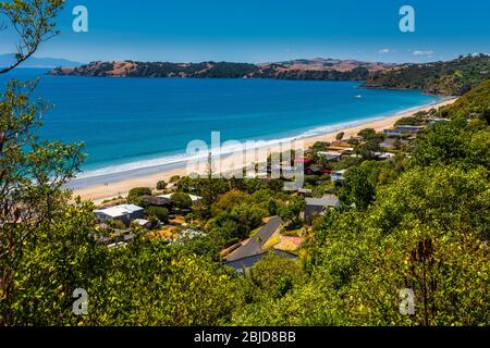 Onetangi Beach auf Waiheke Island in der Nähe von Auckland in Neuseeland Stockfoto