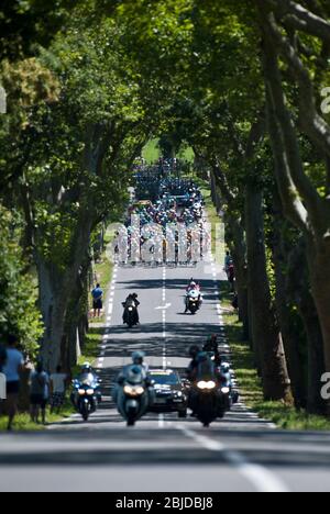 06.07.2013 Soreze, Frankreich. Das Hauptfeld führt über eine von Bäumen gesäumte Straße während der ersten Etappe der 8. Etappe der Tour De France Castres zur AX 3 Domaine Stockfoto