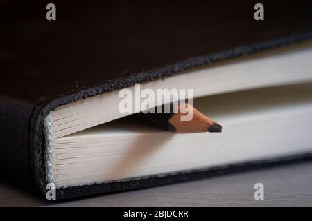 Tagebuch oder Notizblock mit Bleistift, Haus oder Büro-Journal, Selbstverbesserung Schreiben oder Zeichnen, Nahaufnahme. Stockfoto