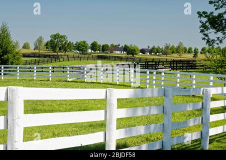 Pferdefarm Szene, weiße Zäune schwarz lackiert, ändern, grünes Gras, Scheunen, Kentucky; USA, Lexington; KY; Frühling Stockfoto