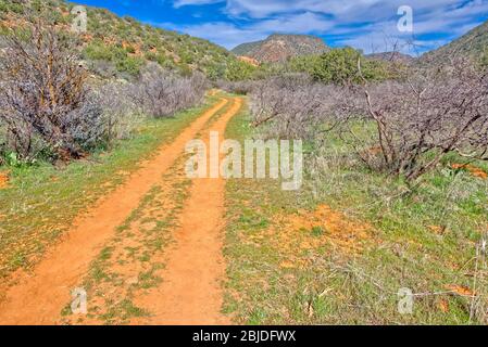 Ein alter ATV Trail, der durch den Woods Canyon südlich von Sedona AZ führt. Stockfoto