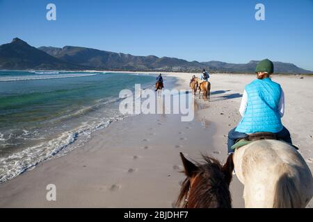 Reiten am langen Strand, Kapstadt, Südafrika Stockfoto