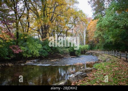In einem Bach im Wyomissing Park, PA, spiegeln sich farbenfrohe Bäume Stockfoto