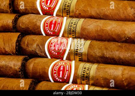 Zigarren: Kubanische Zigarren. Romeo y Julieta und Hoyo de Monterrey. Handgedrehtes traditionelles Tabakprodukt. Weißer Hintergrund. Stockfoto