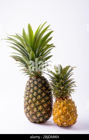 Porträt Von Zwei Reifen Ananas Auf Weißem Hintergrund Stockfoto