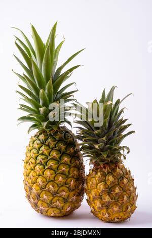 Porträt Von Zwei Reifen Ananas Auf Weißem Hintergrund Stockfoto