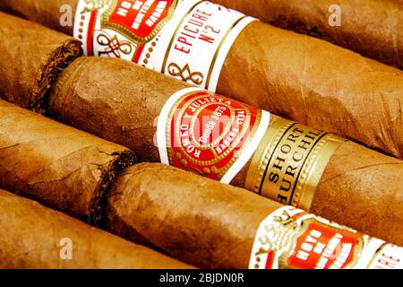 Zigarren: Kubanische Zigarren. Romeo y Julieta und Hoyo de Monterrey. Handgedrehtes traditionelles Tabakprodukt. Weißer Hintergrund. Stockfoto