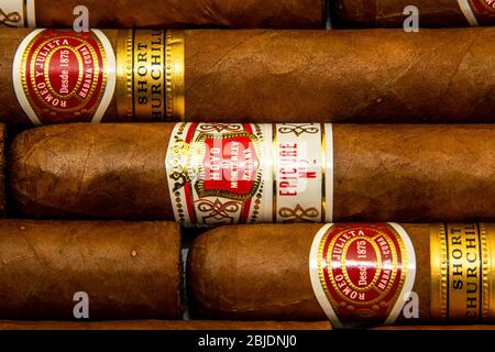 Zigarren: Kubanische Zigarren. Romeo y Julieta und Hoyo de Monterrey. Handgedrehtes traditionelles Tabakprodukt. Weißer Hintergrund. Stockfoto