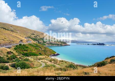 Strand von Taiaroa Gehen Sie in der Nähe des Royal Albatross Centre, Dunedin, Otago, Neuseeland Stockfoto