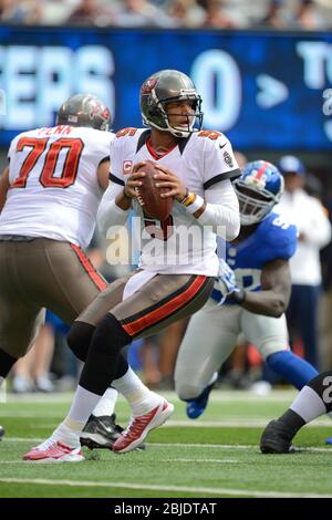 16. September 2012: Der Quarterback von Tampa Bay Buccaneers Josh Freeman (5) fällt während eines NFL NFC Matchup der Woche 2 zwischen dem Tampa Bay Buccanee zurück Stockfoto