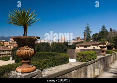 Vase mit einer Blume im Vordergrund und der Basilika Santa Maria del Fiore in der Ferne. Florenz, Toskana, Italien. Stockfoto