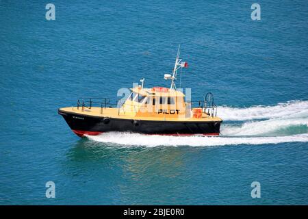 Das Pilotboot Vizcaya verlässt den Hafen von Miami während der Covid-Krise, um Kreuzfahrtschiffe und andere in und aus dem Hafen zu führen Stockfoto