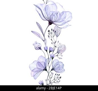 Aquarell blau rosa. Nahtloser vertikaler Rand. Abstrakte transparente Blüten. Isolierte handgezeichnete botanische Illustration für Hochzeit Design Stockfoto