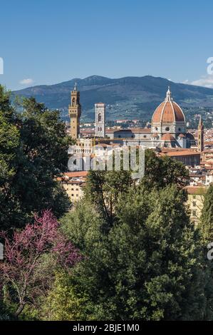 Kathedrale Santa Maria del Fiore in Florenz, Toskana, Italien. Stockfoto