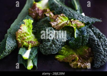 Frischer grüner, lockiger Grünkohl mit Wassertropfen auf den Blättern auf schwarzem Hintergrund. Vegane und vegetarische Ernährung. Bio-Gemüse antioxidative Konzept Stockfoto