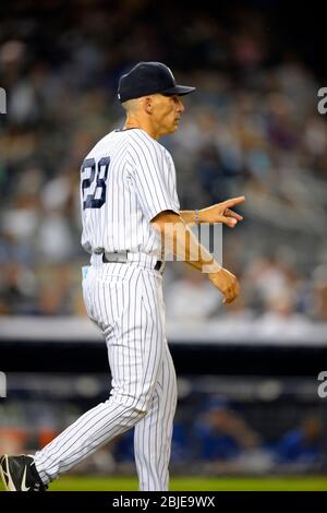 21. August 2013: New York Yankees Manager Joe Girardi (28) kommt heraus und signalisiert für einen linken Wurfkrug während eines MLB-Spiels zwischen den Toro gespielt Stockfoto