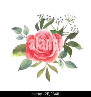 Florales Aquarell-Set mit rosa Rose. Botanische Arrangements mit Blumen und Blättern. Ideal zum Bedrucken von Stoffen, Bannern, Einladungen und Karten Stock Vektor