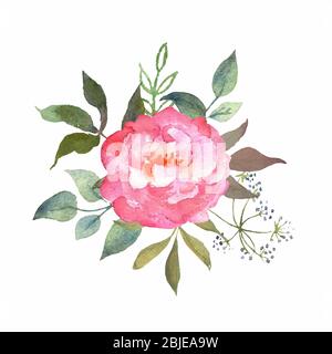 Florales Aquarell-Set mit rosa Rose. Botanische Arrangements mit Blumen und Blättern. Ideal zum Bedrucken von Stoffen, Bannern, Einladungen und Karten Stock Vektor