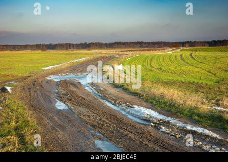 Schlammige Straße durch grüne Felder, letzter Schnee, Horizont und Mond am Abendhimmel Stockfoto