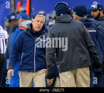 15. Dezember 2013: Seattle Seahawks Cheftrainer Pete Carroll während der zweiten Hälfte eines NFL-Spiels zwischen den Seattle Seahawks und den New York Giants Stockfoto