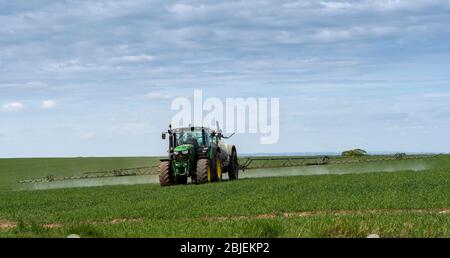 Das Sprühen von Winterweizenernte im Frühjahr mit einem Berthoud-gezogenen Feldspritzer, gezogen von einem John Deere 6140R. Ripon, North Yorkshire, Großbritannien. Stockfoto