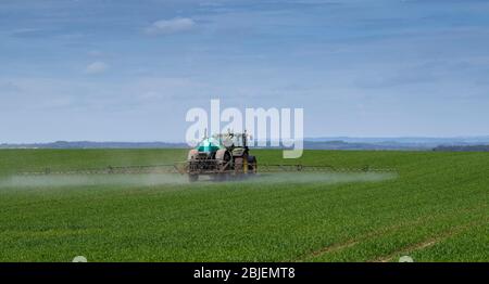 Das Sprühen von Winterweizenernte im Frühjahr mit einem Berthoud-gezogenen Feldspritzer, gezogen von einem John Deere 6140R. Ripon, North Yorkshire, Großbritannien. Stockfoto