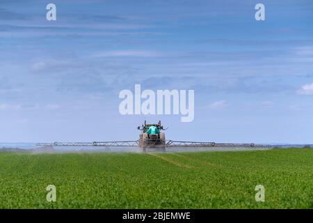 Das Sprühen von Winterweizenernte im Frühjahr mit einem Berthoud-gezogenen Feldspritzer, gezogen von einem John Deere 6140R. Ripon, North Yorkshire, Großbritannien. Stockfoto