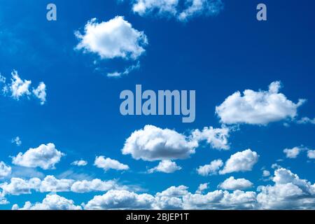 Cumulus-Wolken vor blauem Himmel. Stockfoto