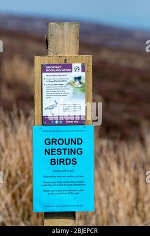 Schilder auf Moorland in Wensleydale, die Menschen raten, Wege zu halten und nicht Bein ihre Hunde laufen los, da es ein wichtiges Gebiet für Boden nistenden Vogel ist Stockfoto