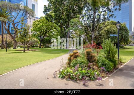 Ein Pfad durch Stirling Gärten in Perth, Western Australia Stockfoto