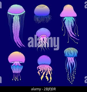 Satz von handgezeichneten Quallen Stock Vektor